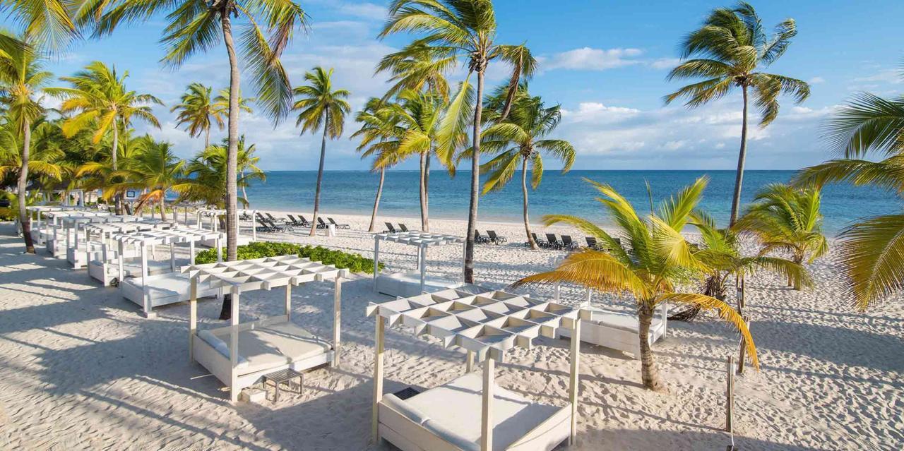 Luxury Apartament Monkey Banana, Bavaro Punta Cana Lejlighed Eksteriør billede